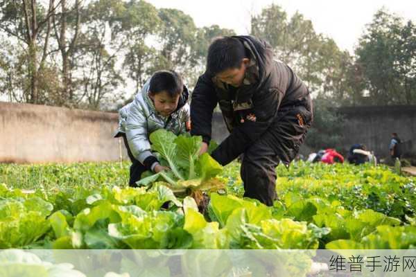 一男一女在床上拔萝卜：开心农场：双人萝卜收获季【专题】