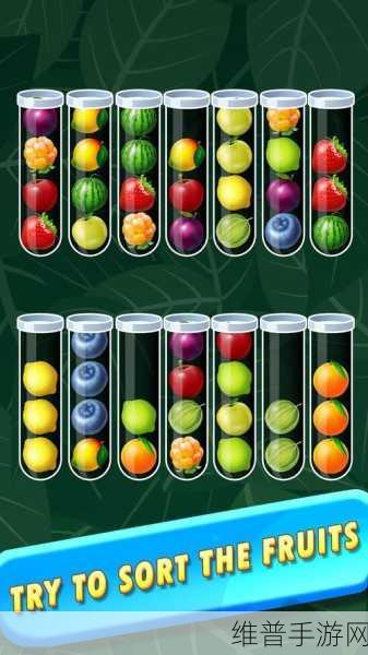 Wool Ball Sort Puzzle，挑战你的逻辑思维与耐心极限