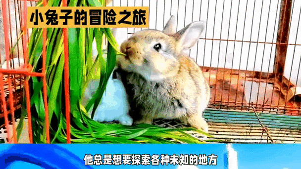 一粒尘埃的修行，探索全新文字题材休闲冒险之旅