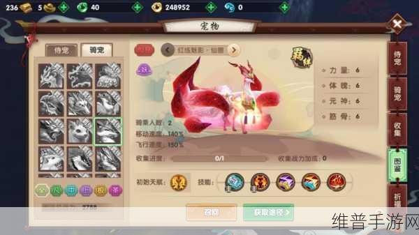 寻仙手游侍宠获取全攻略指南