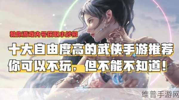 探秘主宰大掌门变态版，画面精致的武侠角色扮演手游全攻略