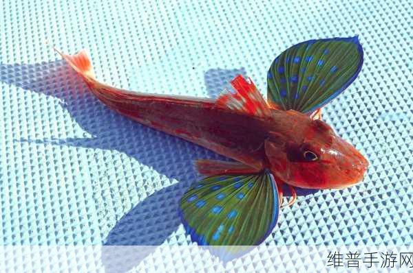 饥饿的小红鱼无限金币版，畅游大鱼吃小鱼的奇妙世界
