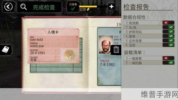 边境检察官游戏下载,沉浸式3D写实风格模拟体验