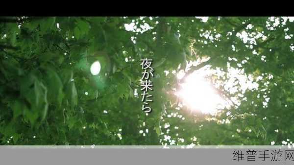 最好看的日本字幕MV：日系音乐视觉盛宴【专题】