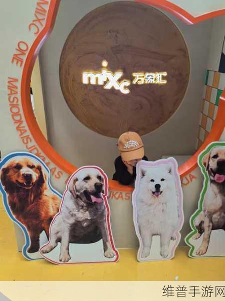 猫咪招财乐红包版下载,探索可可爱爱的猫咪主题消除游戏