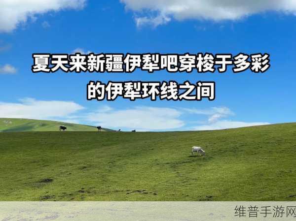 伊犁园2023网站入口：伊犁园2023手游下载【专题】