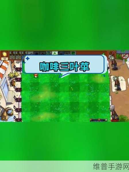 三叶草亚洲码在线：三叶草游戏社区【专题】