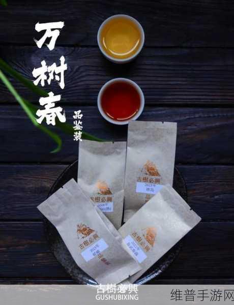 一二三产区的精华区：精选产区 - 探索三大宝藏【专题】