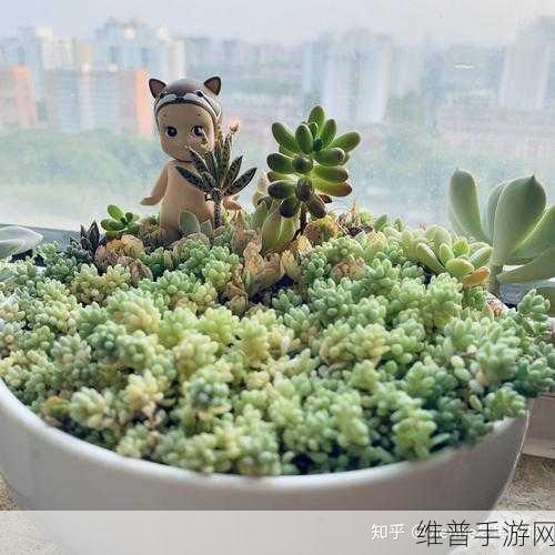 嫩草蜜my秘 秘 秘 在线观看：萌宠花园：治愈系养成【专题】