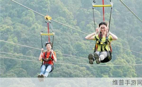 快乐滑索游戏,体验极限乐趣的掌上冒险之旅