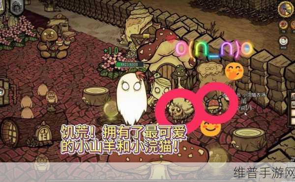 饥荒浣猫之年，世界变迁与浣猫行踪大揭秘