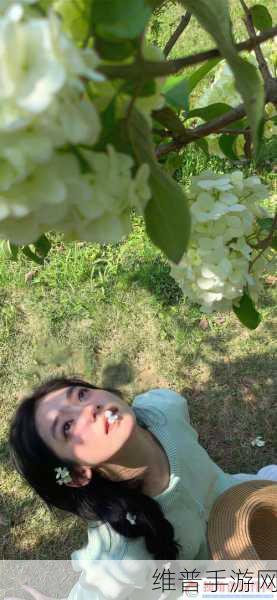 沈芯语的个人资料简介:沈芯语的角色档案【专题】