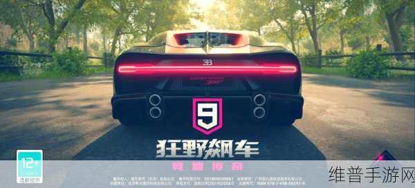 狂野飙车9刷钱版下载,体验极致速度与激情的赛车竞速之旅