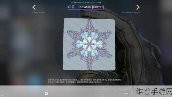 暴躁老阿姨CSGO通关攻略：CSGO大神养成记：从菜鸟到传奇【专题】