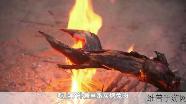 windows野外mgdrcc：荒野冒险：生存挑战【专题】