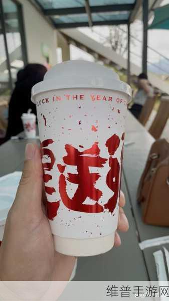 大香煮2024一人一煮介绍:大香煮2024:开启你的美食冒险【专题】