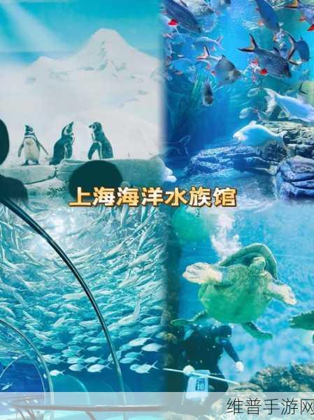 深海水族馆无限钻石版，探索梦幻海底世界的奇妙之旅