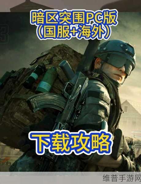 91精品产区和欧美产区的区别：热门游戏区服选择指南：国服与海外服的差异对比【专题】
