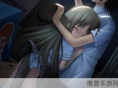 十八禁网页：限制级游戏【专题】