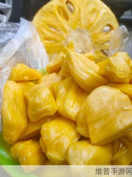 菠萝蜜视频污:菠萝蜜短视频【专题】