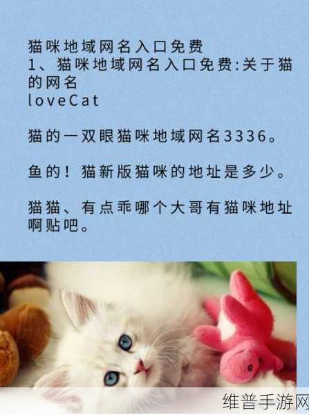 永久在线地域网名入口：区域玩家交流中心【专题】