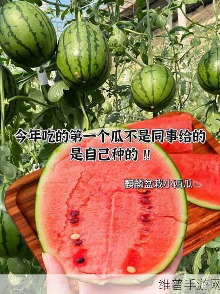 51吃瓜网今日大瓜 反差：吃瓜爆料社区 - 每日热门八卦【专题】