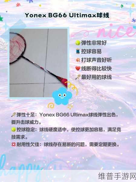 羽毛球高高手新手畅玩指南