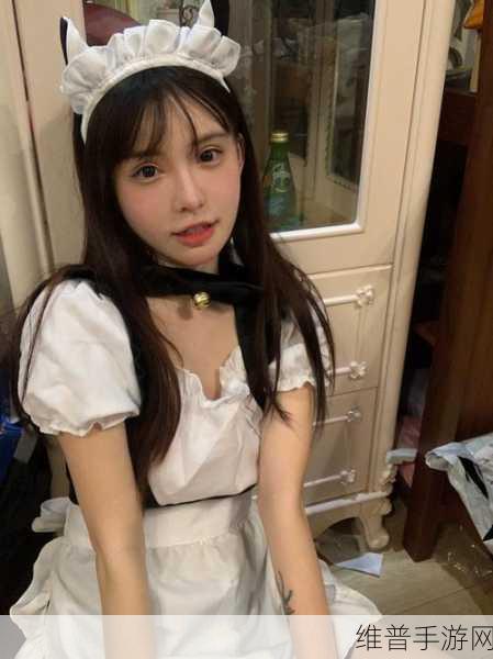 之前被十八禁的网站:曾经被限制访问的网站【专题】
