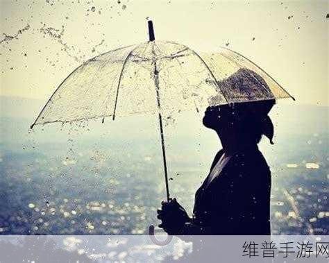 一天用了好几个小雨伞：今日已使用3次护盾【专题】