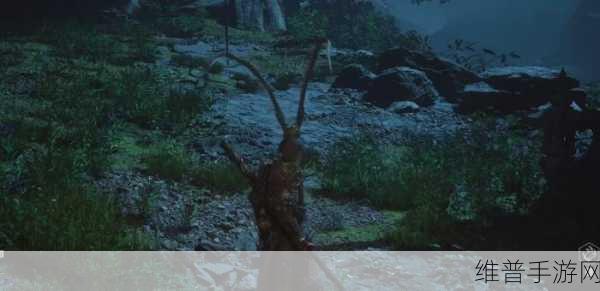黑神话悟空手游金色鲤获取全攻略