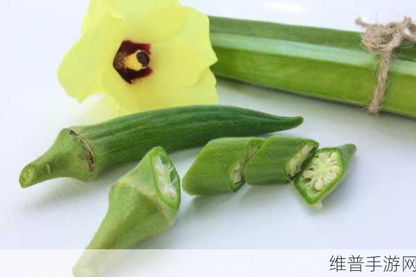 秋葵茄子丝瓜榴莲绿巨人：快乐星球：绿色冒险【专题】