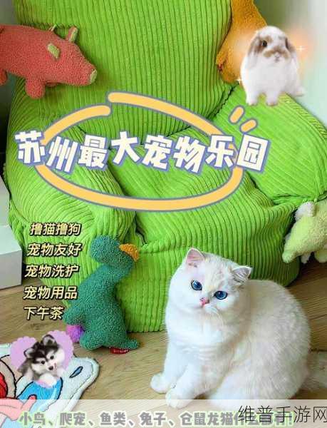 贝贝公主宠物乐园，赚钱可提现的经营类休闲小游戏全攻略