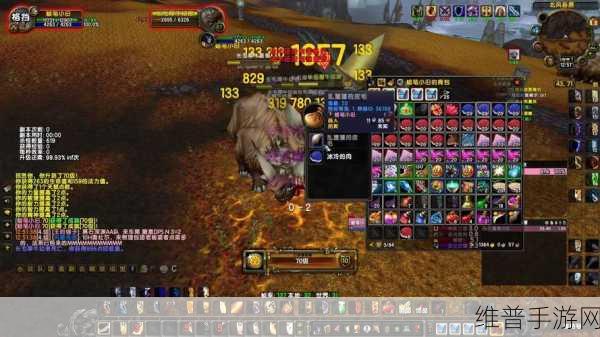 魔兽世界wlk冰冷的肉哪掉:魔兽世界:冰冷的肉获取攻略【专题】