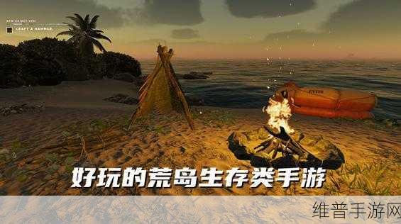 探索未知,深入Lost in Blue中文破解版荒岛生存模拟游戏全攻略
