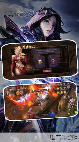 江西贪玩手游力作，探索奇迹MU微变版的魔幻之旅