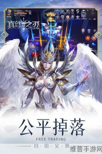 江西贪玩手游力作,探索奇迹MU微变版的魔幻之旅