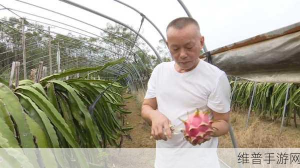 婉莹满足了十几个农民工视频：农场主的心愿【专题】