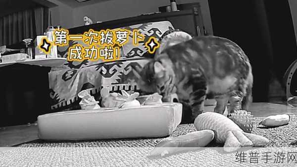 二人世界拨萝卜生猴子：萝卜农场：双人合作养成记【专题】