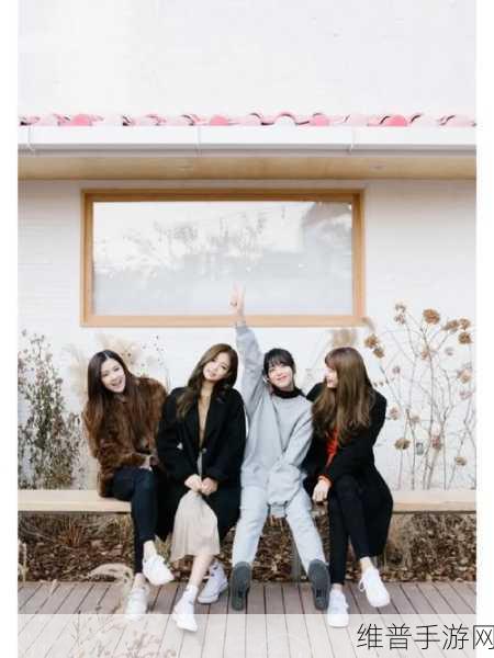 blackpink团约:BLACKPINK限定团约派对【专题】