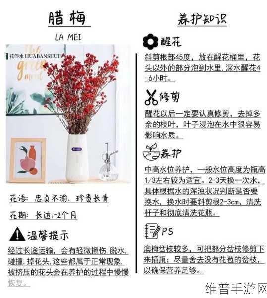 小森生活鲜花种植秘籍，打造缤纷花园