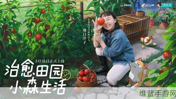 小森生活,慢享田园,治愈心灵的官方版本下载安装指南