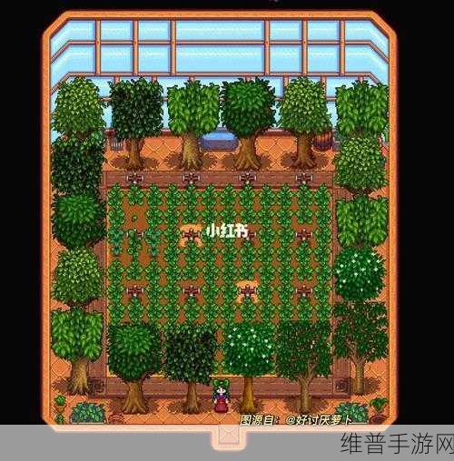 星露谷物语温室解锁秘籍大公开