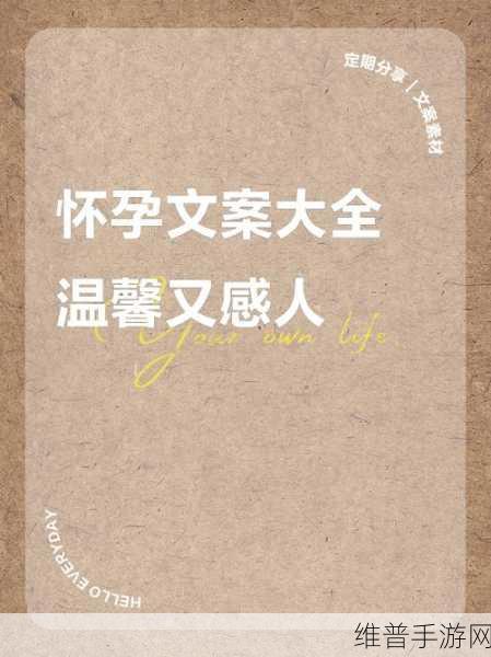 怀孕一肚子的JYH：孕育小天使【专题】