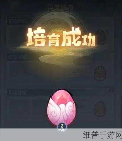 主宰世界手游功法搭配终极指南