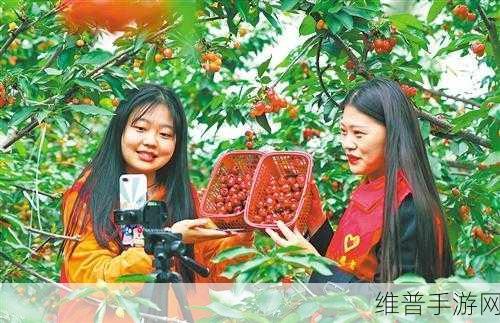 樱桃视频直播:樱桃直播秀场【专题】