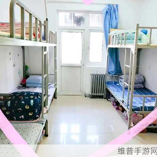 大学宿舍506寝室灯灭了以后:```【专题】
