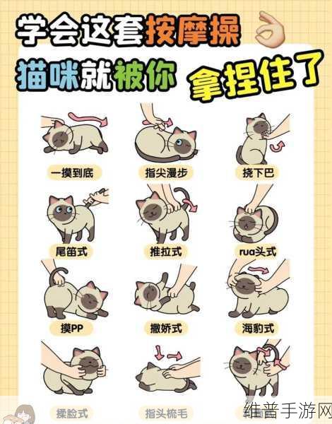 撸撸社：指尖社交【专题】