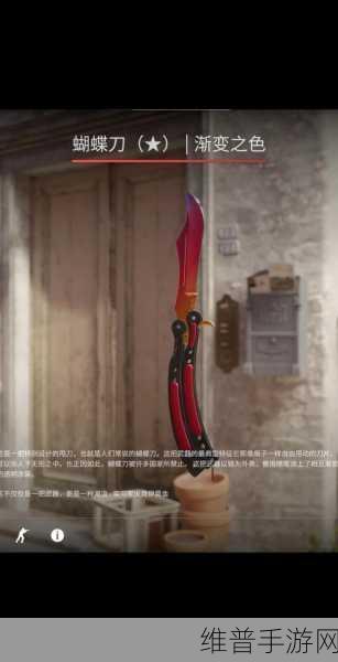 17岁俄罗斯csgo最火的一句:17岁少年玩CSGO手游爆火的一句话【专题】