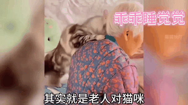 老人玩小处雌女HD另：萌宠养成：奇趣冒险HD【专题】