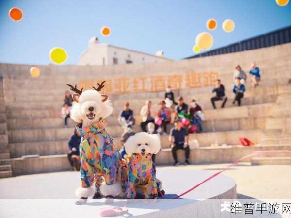 老人玩小处雌女HD另：萌宠养成：奇趣冒险HD【专题】